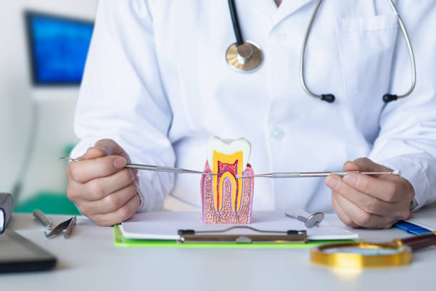 Best Pediatric Emergency Dentist in Red Oak, NC